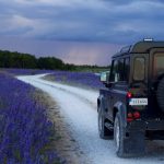 Solo Adventures: Embracing Independence on the Road Less Traveled